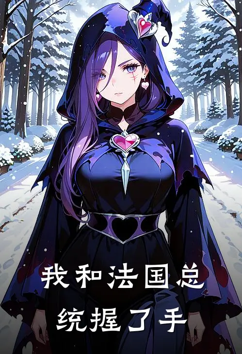 我和法国总统握了手