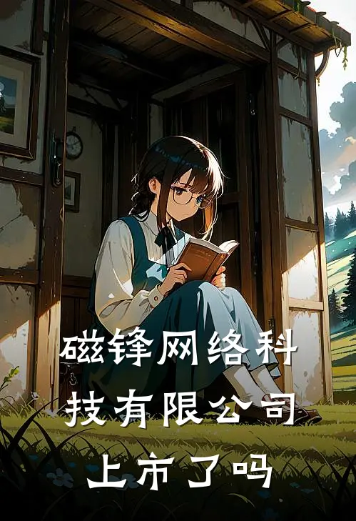 磁锋网络科技有限公司上市了吗